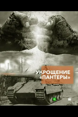 Укрощение «Пантеры»